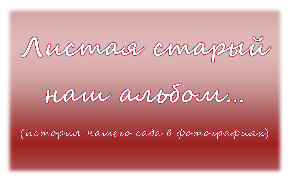 банер фотоальбом